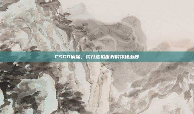 CSGO侦探,揭开虚拟世界的神秘面纱