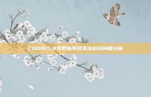 COD165.3号更新导致无法游玩问题分析