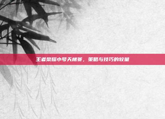 王者荣耀小号天梯赛,策略与技巧的较量
