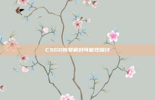 CSGO账号解封可能性探讨
