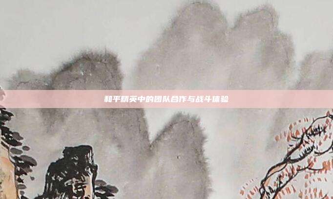 和平精英中的团队合作与战斗体验