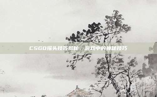 CSGO摇头技巧揭秘,游戏中的神秘技巧