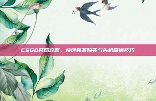 CSGO开局攻略,快速装备购买与先机掌握技巧