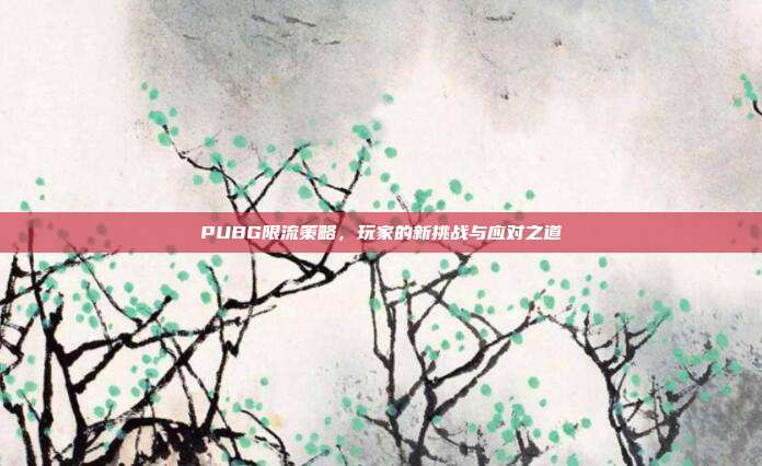 PUBG限流策略,玩家的新挑战与应对之道