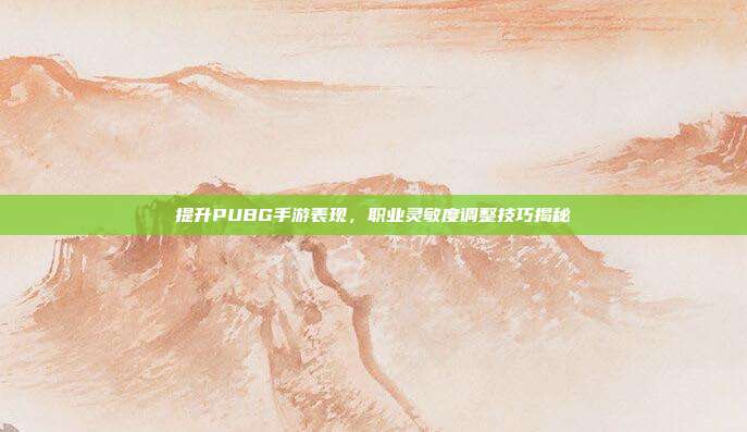 提升PUBG手游表现,职业灵敏度调整技巧揭秘