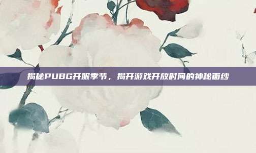 揭秘PUBG开服季节,揭开游戏开放时间的神秘面纱