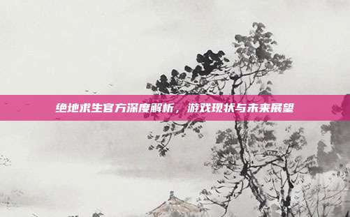 绝地求生官方深度解析,游戏现状与未来展望