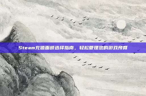 Steam充值面额选择指南,轻松管理您的游戏预算