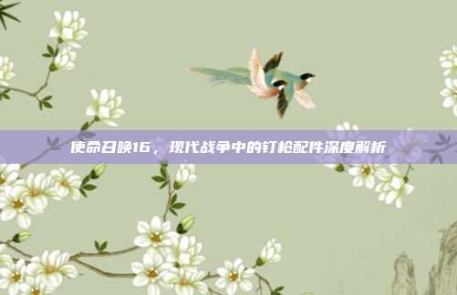 使命召唤16,现代战争中的钉枪配件深度解析