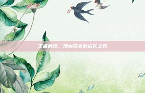 王者荣耀,顶尖玩家的成长之路