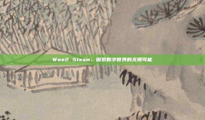 Wee2 Steam,探索数字世界的无限可能