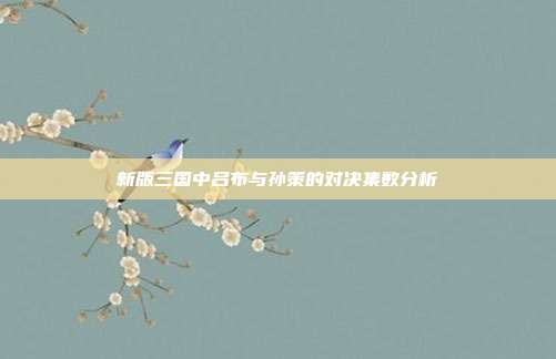 新版三国中吕布与孙策的对决集数分析