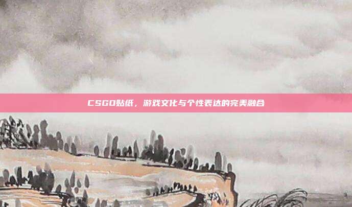 CSGO贴纸,游戏文化与个性表达的完美融合