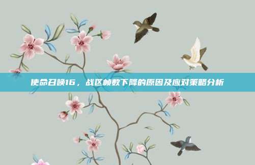 使命召唤16,战区帧数下降的原因及应对策略分析