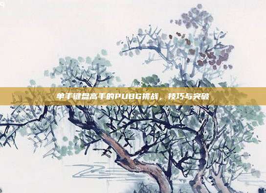 单手键盘高手的PUBG挑战,技巧与突破
