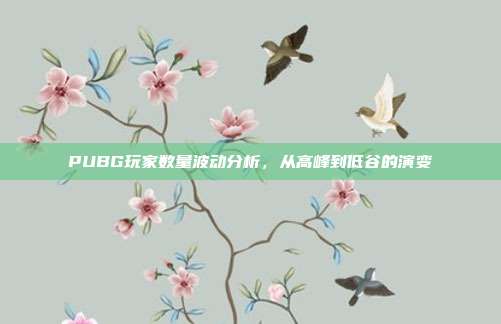 PUBG玩家数量波动分析,从高峰到低谷的演变