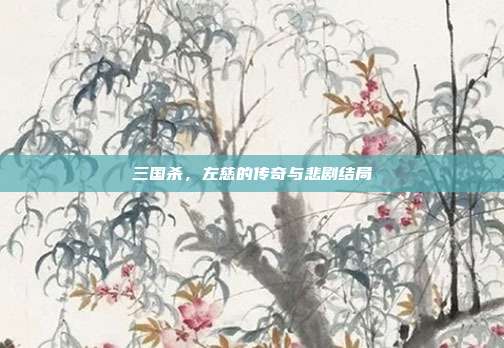 三国杀,左慈的传奇与悲剧结局