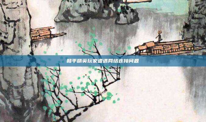 和平精英玩家遭遇网络连接问题