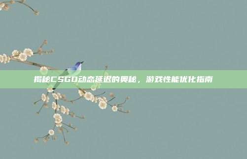 揭秘CSGO动态延迟的奥秘,游戏性能优化指南