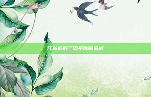 汪苏泷的三国杀歌词赏析