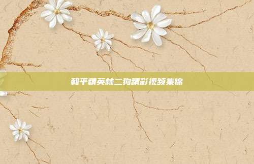 和平精英林二狗精彩视频集锦