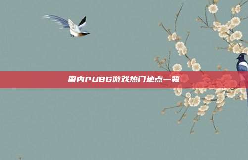 国内PUBG游戏热门地点一览