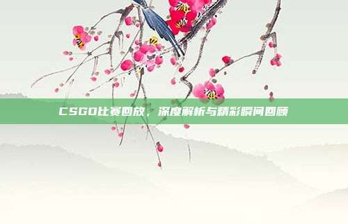 CSGO比赛回放,深度解析与精彩瞬间回顾