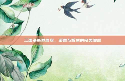 三国杀新界曹操,策略与智慧的完美融合