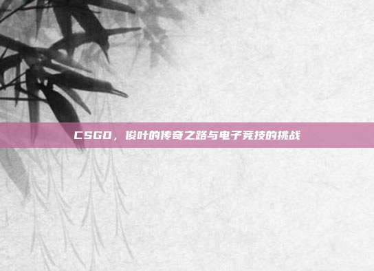 CSGO,俊叶的传奇之路与电子竞技的挑战