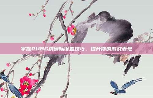 掌握PUBG精确标设置技巧,提升你的游戏表现
