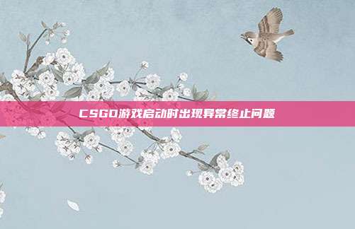 CSGO游戏启动时出现异常终止问题