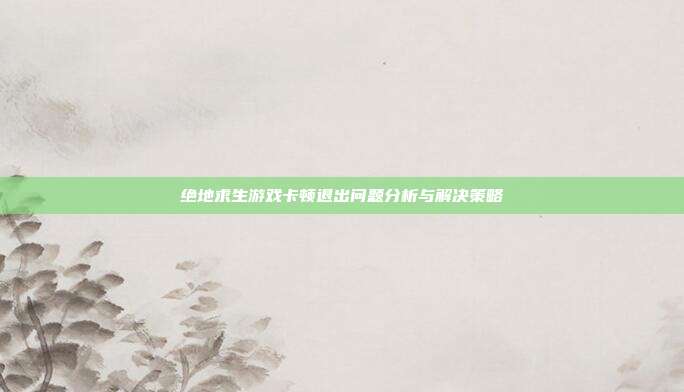 绝地求生游戏卡顿退出问题分析与解决策略