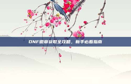 DNF徽章获取全攻略,新手必看指南