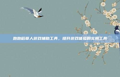 跑跑稻草人游戏辅助工具,提升游戏体验的实用工具