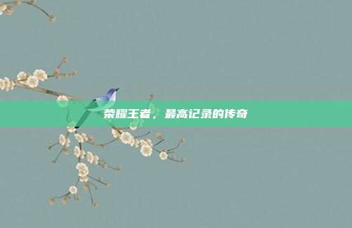 荣耀王者,最高记录的传奇