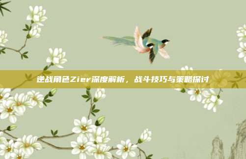 逆战角色Zier深度解析,战斗技巧与策略探讨