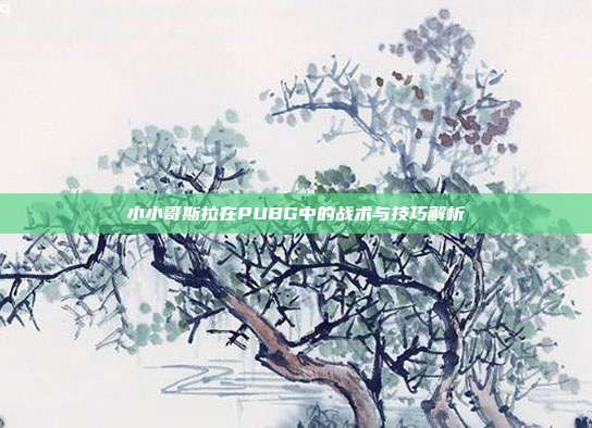 小小哥斯拉在PUBG中的战术与技巧解析