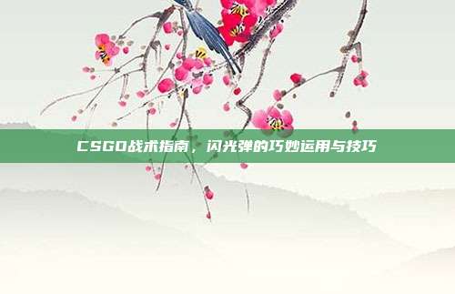 CSGO战术指南,闪光弹的巧妙运用与技巧