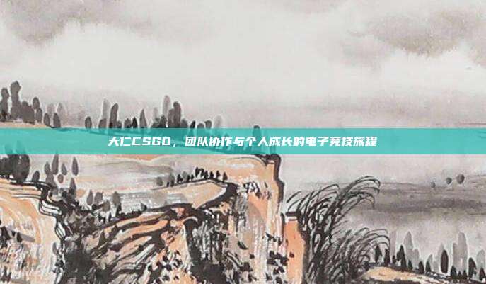 大仁CSGO,团队协作与个人成长的电子竞技旅程