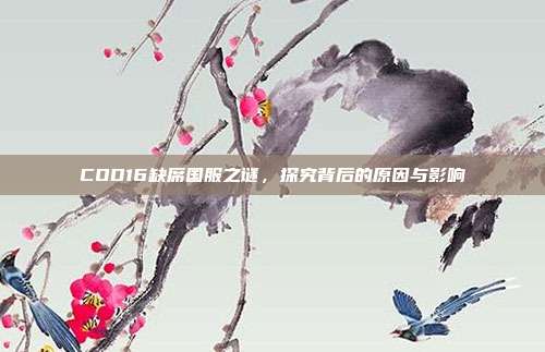 COD16缺席国服之谜,探究背后的原因与影响