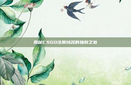 揭秘CSGO注册域名的独到之处