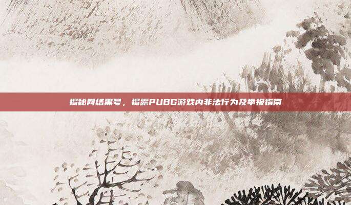 揭秘网络黑号,揭露PUBG游戏内非法行为及举报指南