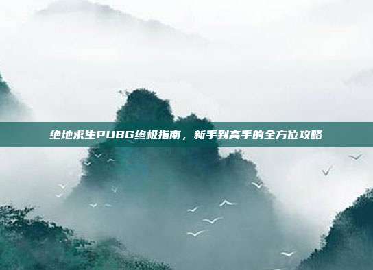 绝地求生PUBG终极指南,新手到高手的全方位攻略