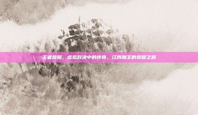 王者荣耀,虚拟对决中的传奇,江西醋王的荣耀之路