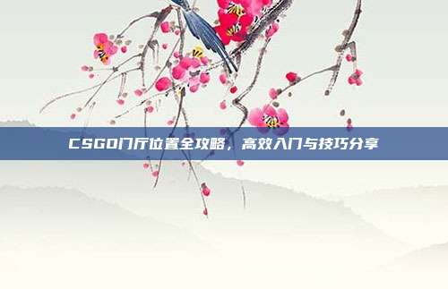 CSGO门厅位置全攻略,高效入门与技巧分享