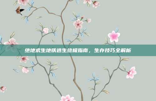 绝地求生地铁逃生终极指南,生存技巧全解析