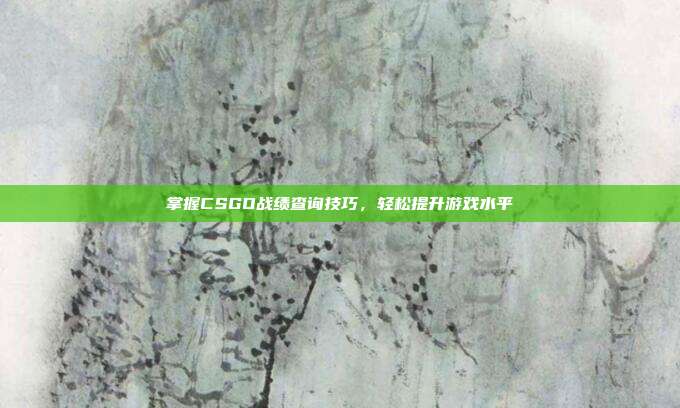 掌握CSGO战绩查询技巧,轻松提升游戏水平