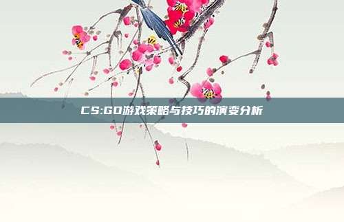 CS:GO游戏策略与技巧的演变分析