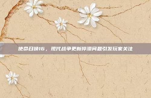 使命召唤16,现代战争更新停滞问题引发玩家关注