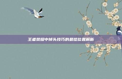 王者荣耀中掉头技巧的最佳位置解析